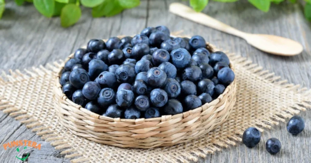 Cute And Short Blueberry